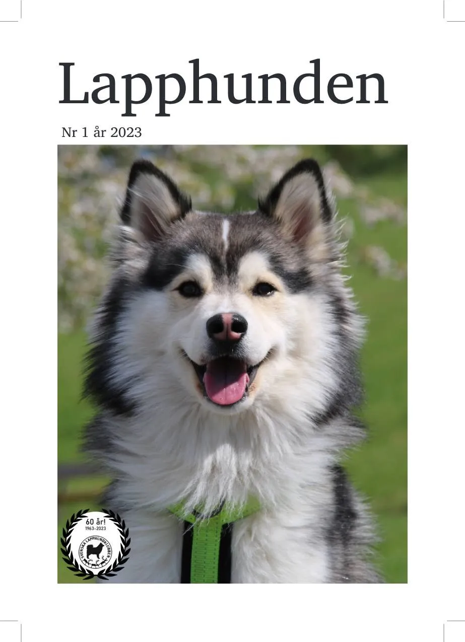 Omslag till Lapphunden nr 1 år 2023